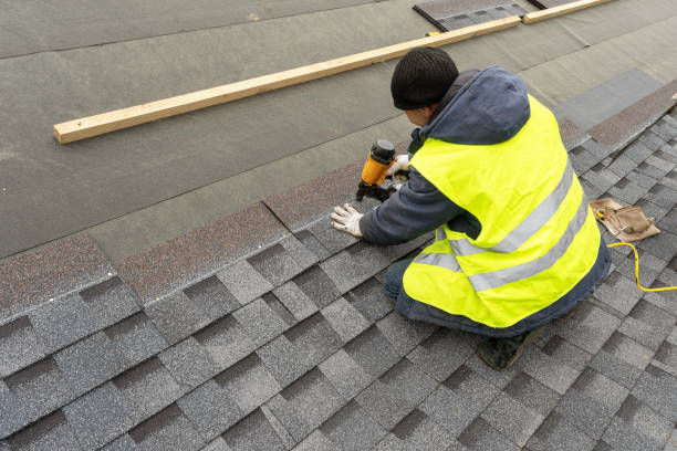 Best Metal Roofing Contractor  in Port Byron, IL